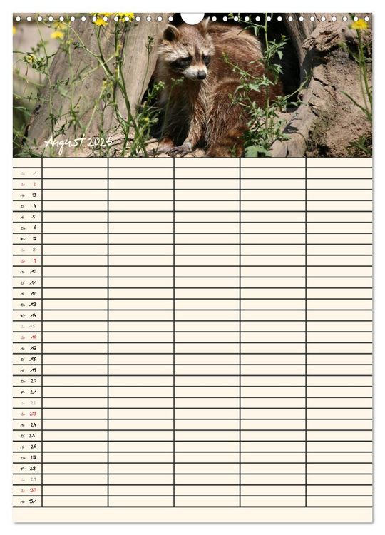 Produktbild: Waschb&auml;ren Familienplaner (Wandkalender 2026 DIN A3 hoch), CALVENDO Monatskalender