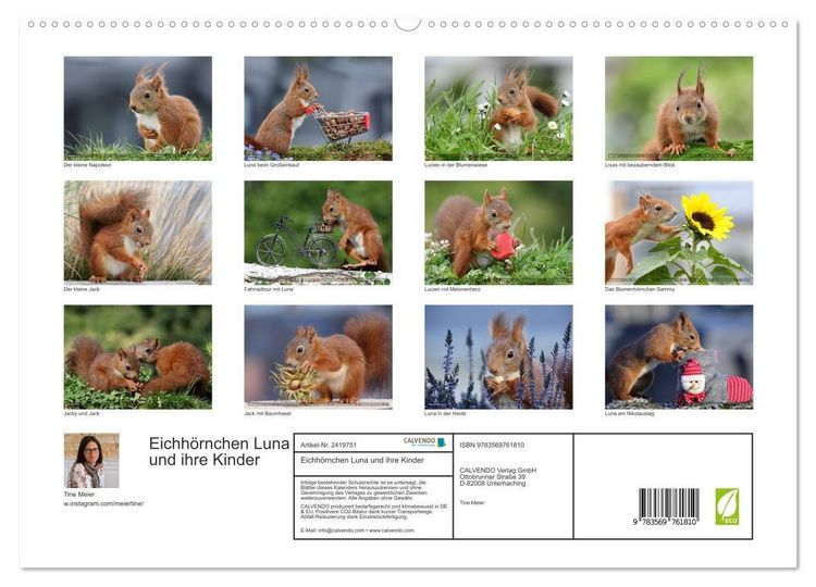 Produktbild: Eichh&ouml;rnchen Luna und ihre Kinder (hochwertiger Premium Wandkalender 2027 DIN A2 quer), Kunstdruck in Hochglanz