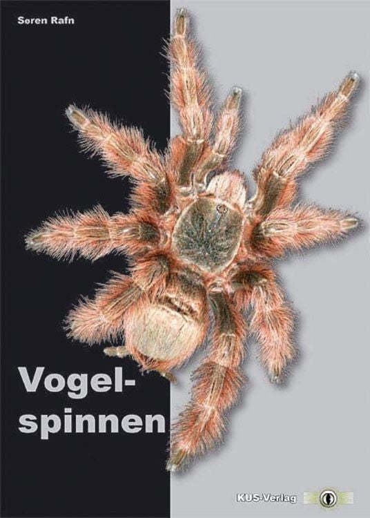 Produktbild: Vogelspinnen