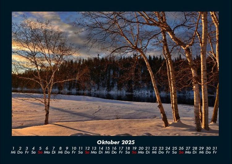 Produktbild: B&auml;ume 2025 Fotokalender DIN A4