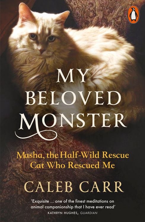 Produktbild: My Beloved Monster