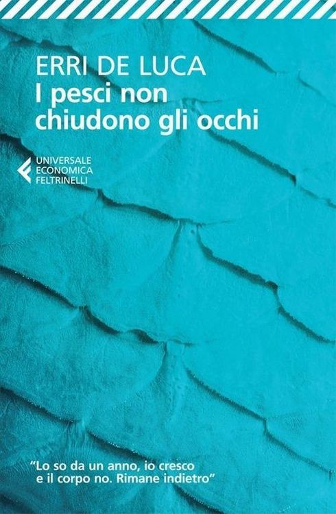 Produktbild: De Luca, E: I pesci non chiudono gli occhi