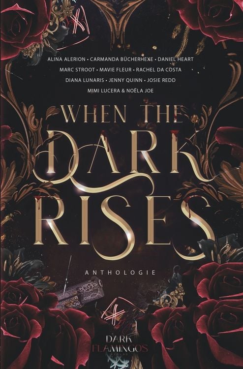 Produktbild: When the Dark Rises