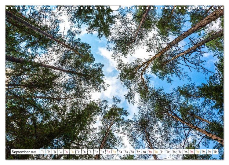 Produktbild: Four seasons in Estonia (Wall Calendar 2026 DIN A3 landscape), CALVENDO 12 Month Wall Calendar