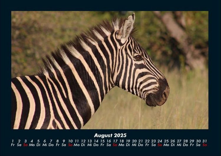 Produktbild: Zoobewohner 2025 Fotokalender DIN A4