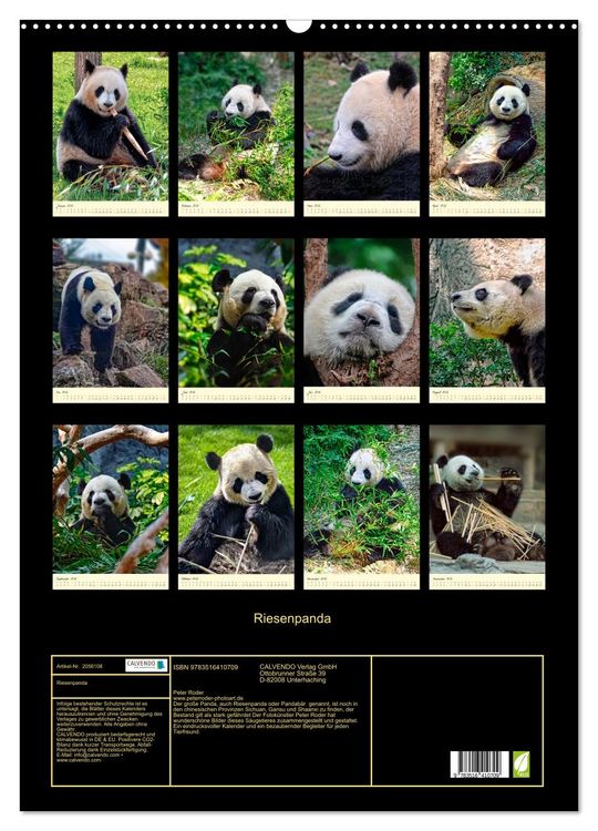 Produktbild: Riesenpanda (Wandkalender 2026 DIN A2 hoch), CALVENDO Monatskalender