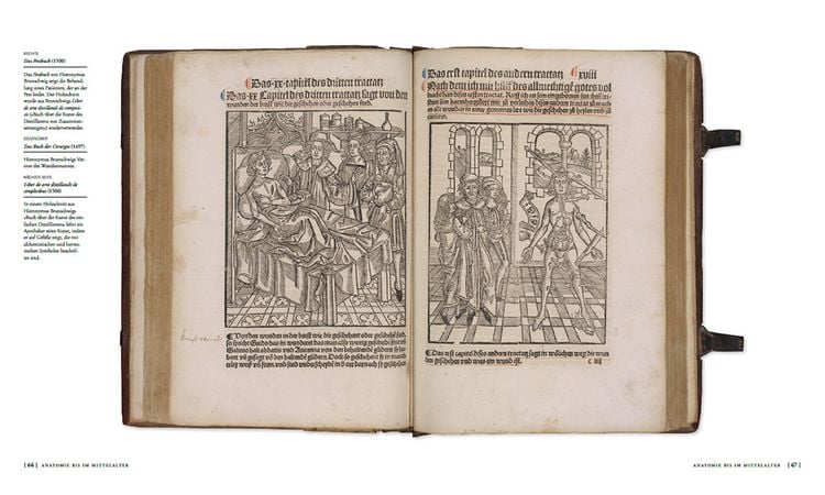 Produktbild: Die Geschichte der Anatomie