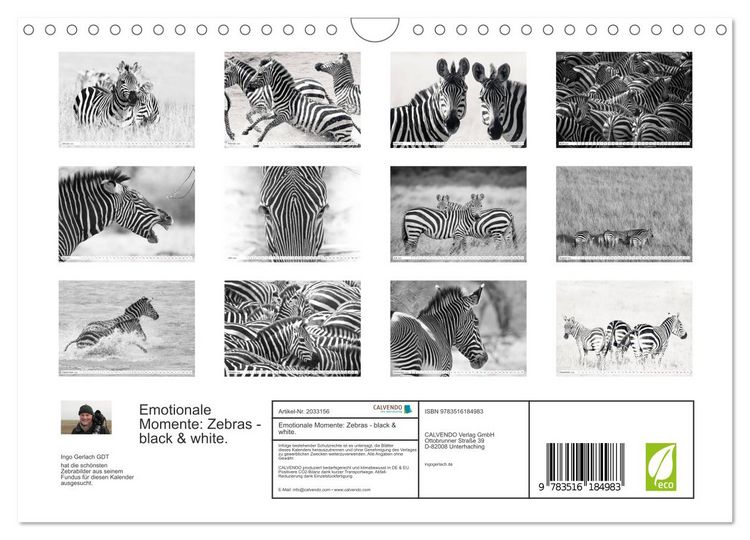 Produktbild: Emotionale Momente: Zebras - black & white. (Wandkalender 2026 DIN A4 quer), CALVENDO Monatskalender