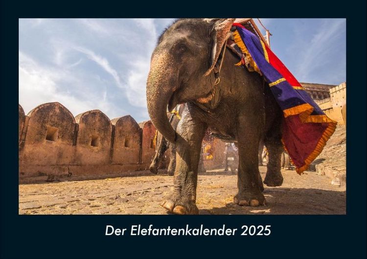 Produktbild: Der Elefantenkalender 2025 Fotokalender DIN A4