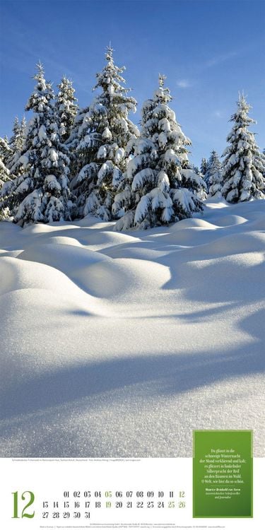 Produktbild: Mythos Wald Literatur-Kalender 2027