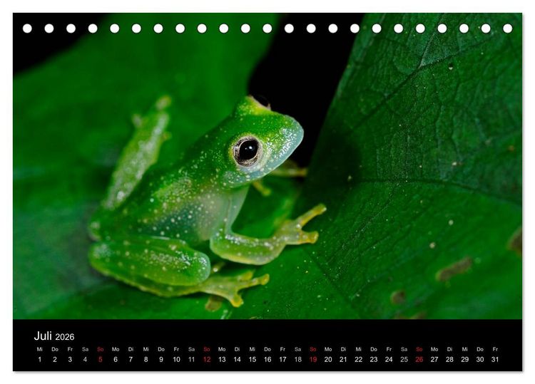 Produktbild: Fr&ouml;sche (Tischkalender 2026 DIN A5 quer), CALVENDO Monatskalender