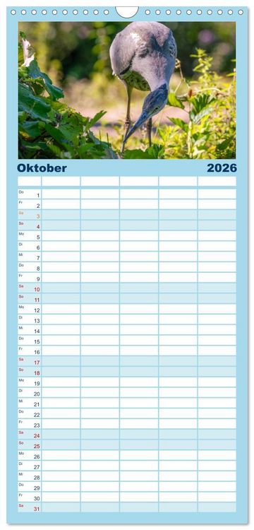 Produktbild: Familienplaner 2026 - Unsere Vogelvielfalt: Ein Schatz zum Entdecken und Sch&uuml;tzen mit 5 Spalten (Wandkalender, 21 x 45 cm) CALVENDO