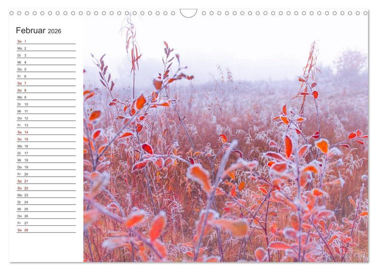 Produktbild: Worpswede - Natursch&ouml;nheiten im Teufelsmoor (Wandkalender 2026 DIN A3 quer), CALVENDO Monatskalender