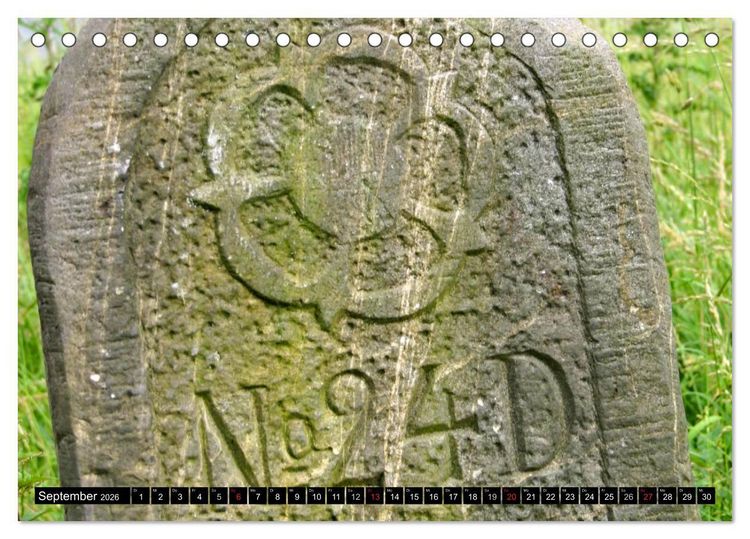 Produktbild: Lippische Rosen (Tischkalender 2026 DIN A5 quer), CALVENDO Monatskalender