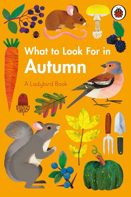 Produktbild: What to Look For in Autumn