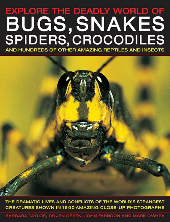 Produktbild: Explore the Deadly World of Bugs, Snakes, Spiders & Crocodiles