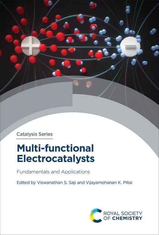 Produktbild: Multi-functional Electrocatalysts