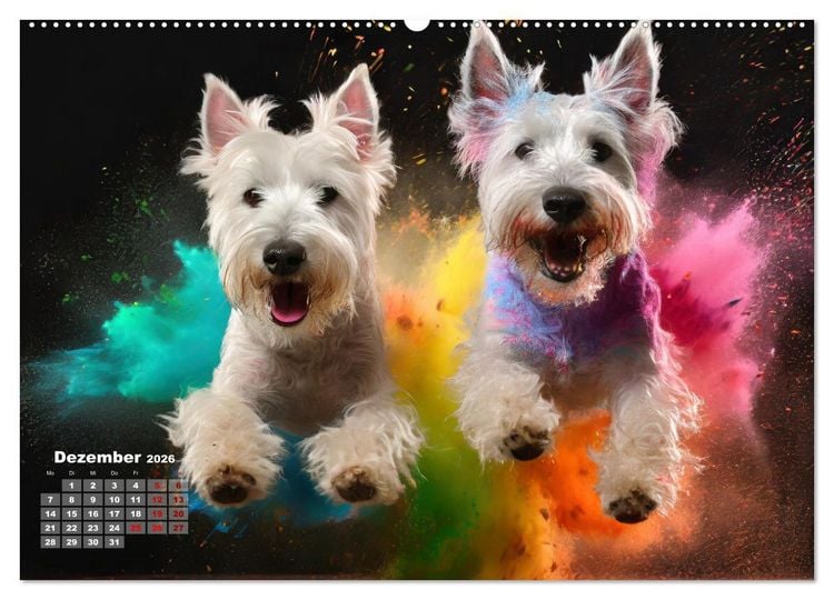 Produktbild: Holi Pulver - Doppelte Action (hochwertiger Premium Wandkalender 2026 DIN A2 quer), Kunstdruck in Hochglanz