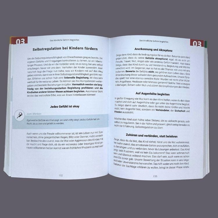 Produktbild: Gemeinsam durch die Wut
