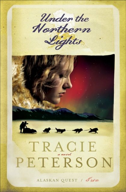 Produktbild: Under the Northern Lights
