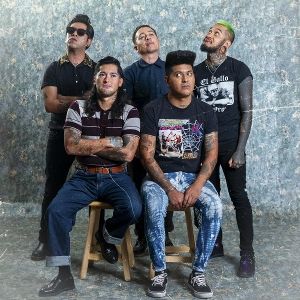 Produktbild: Chimborazo (LTD. Green & Black Vinyl)