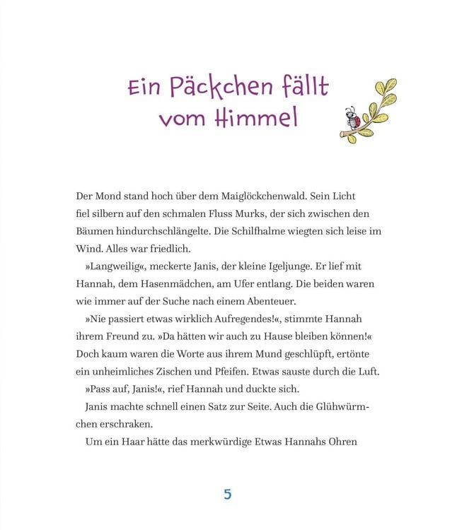 Produktbild: Hannah, Janis und das Päckchen mit Schnabel