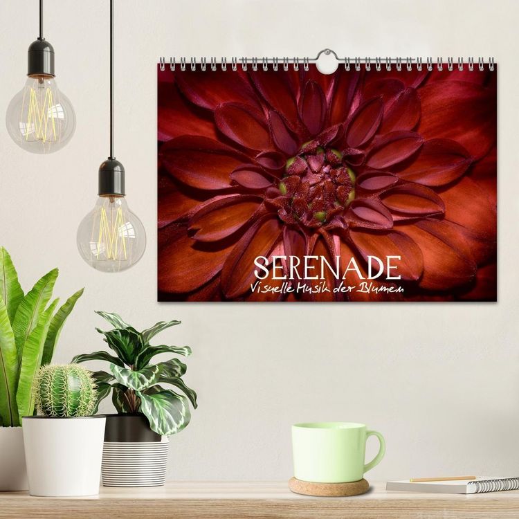 Produktbild: Serenade - Visuelle Musik der Blumen (Wandkalender 2026 DIN A4 quer), CALVENDO Monatskalender