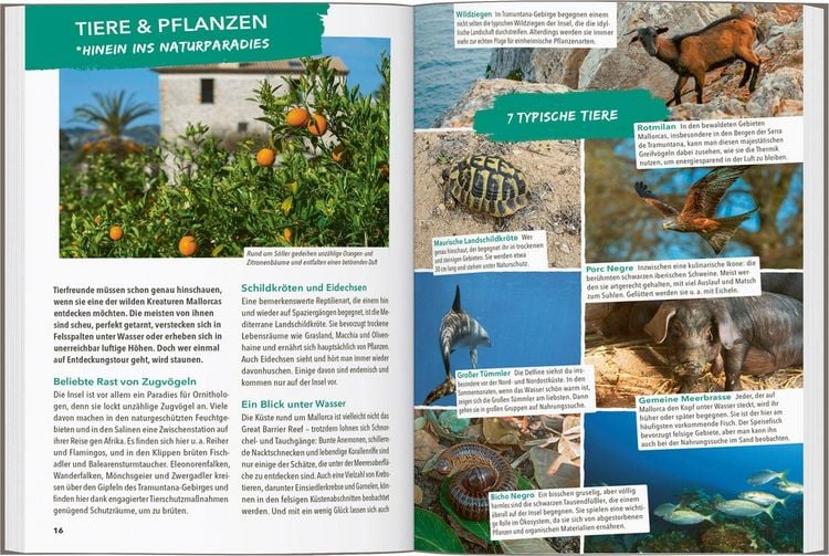 Produktbild: Marco Polo Outdoor Guide Reisef&uuml;hrer Mallorca