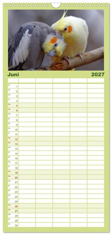 Produktbild: Familienplaner 2027 - Nymphensittiche mit 5 Spalten (Wandkalender, 21 x 45 cm) CALVENDO