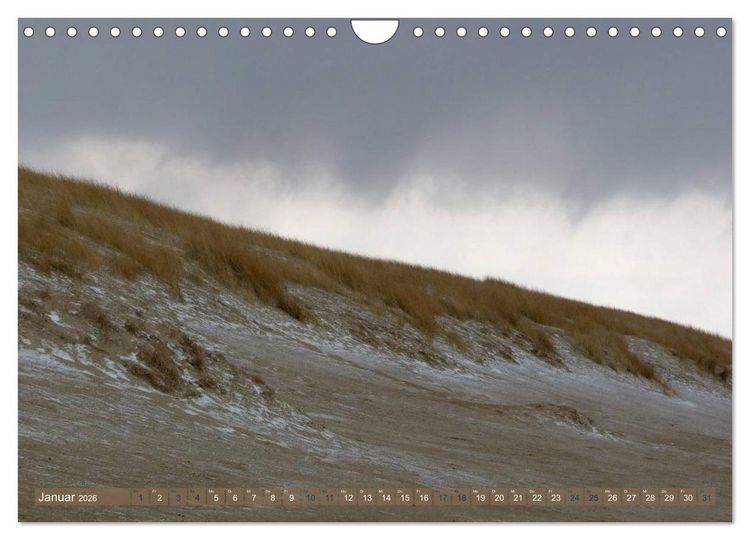 Produktbild: Strandwanderungen auf Texel (Wandkalender 2026 DIN A4 quer), CALVENDO Monatskalender