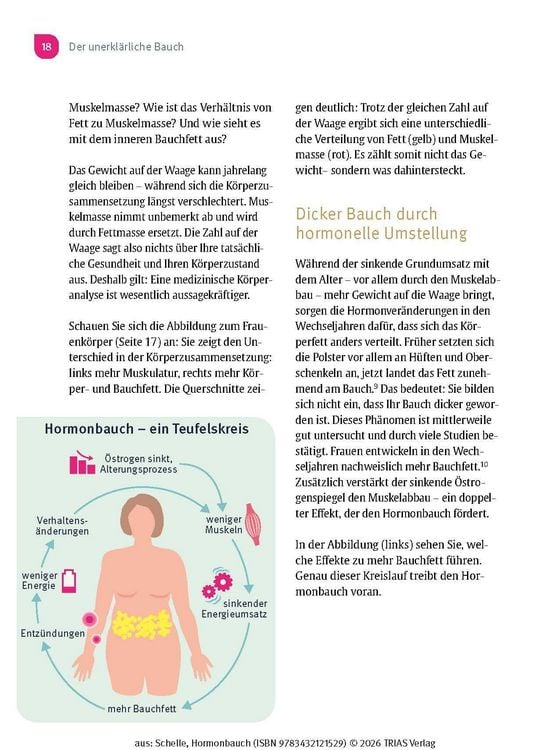 Produktbild: Hormonbauch