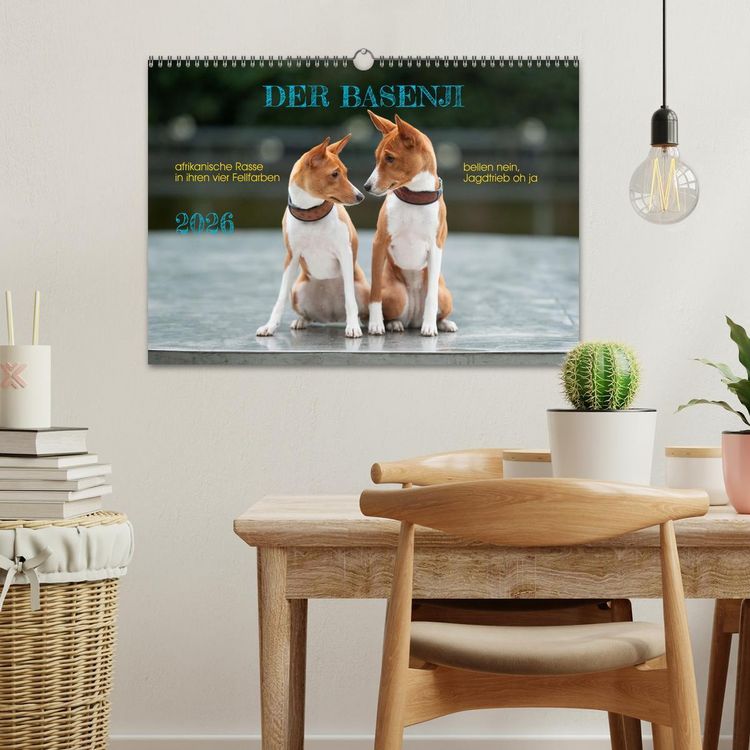 Produktbild: Der Basenji (Wandkalender 2026 DIN A3 quer), CALVENDO Monatskalender
