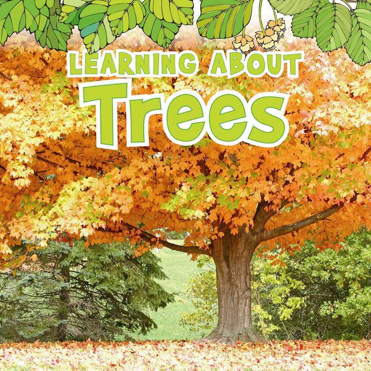 Produktbild: Learning about Trees