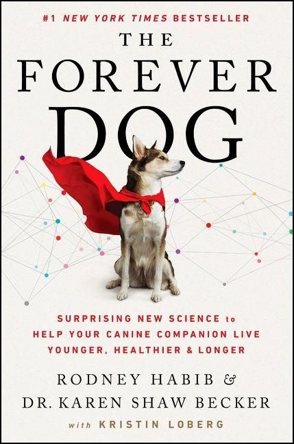 Produktbild: The Forever Dog