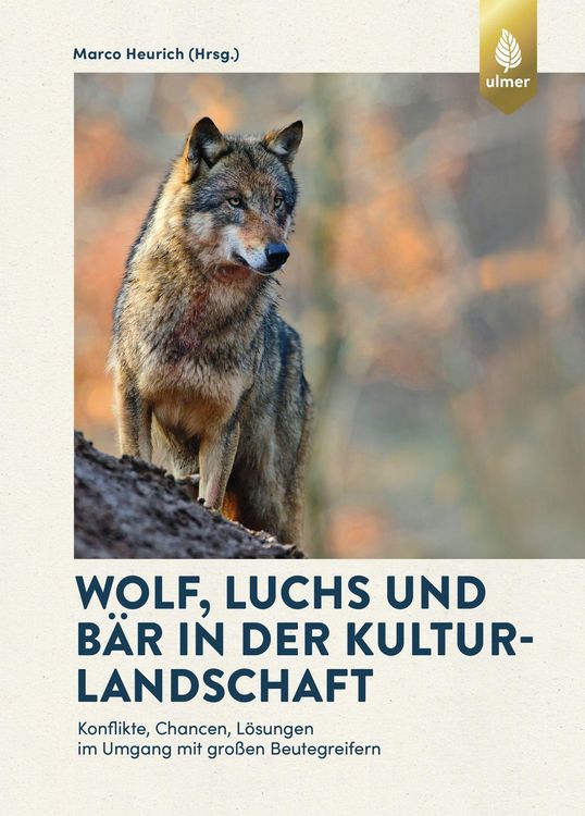 Produktbild: Wolf, Luchs und B&auml;r in der Kulturlandschaft