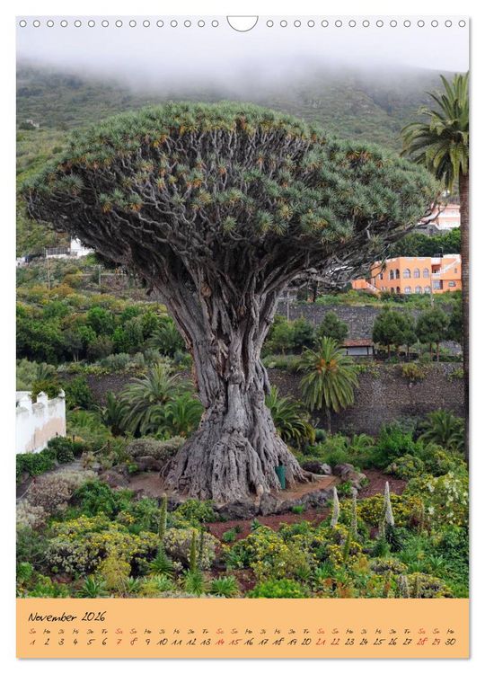 Produktbild: Vulkaninsel Teneriffa (Wandkalender 2026 DIN A3 hoch), CALVENDO Monatskalender