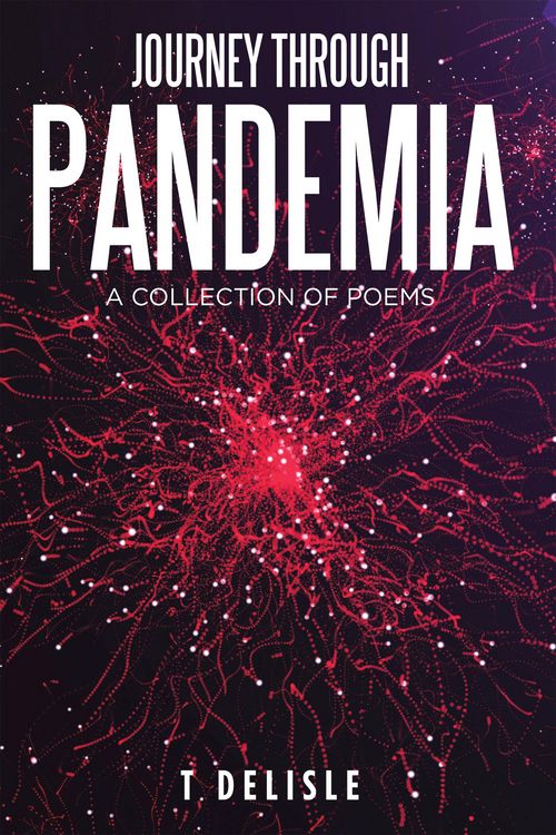 Produktbild: Journey Through Pandemia