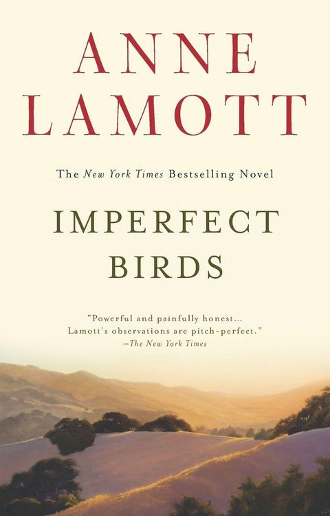 Produktbild: Imperfect Birds