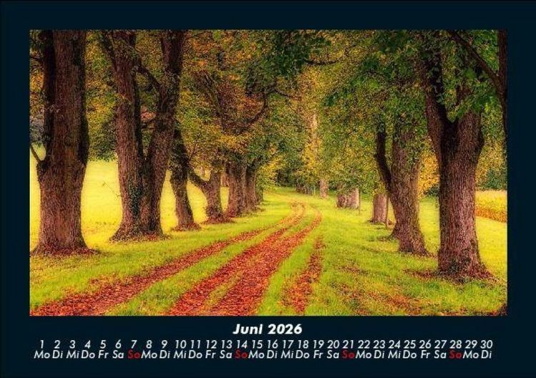 Produktbild: Bilder der Natur 2026 Fotokalender DIN A5