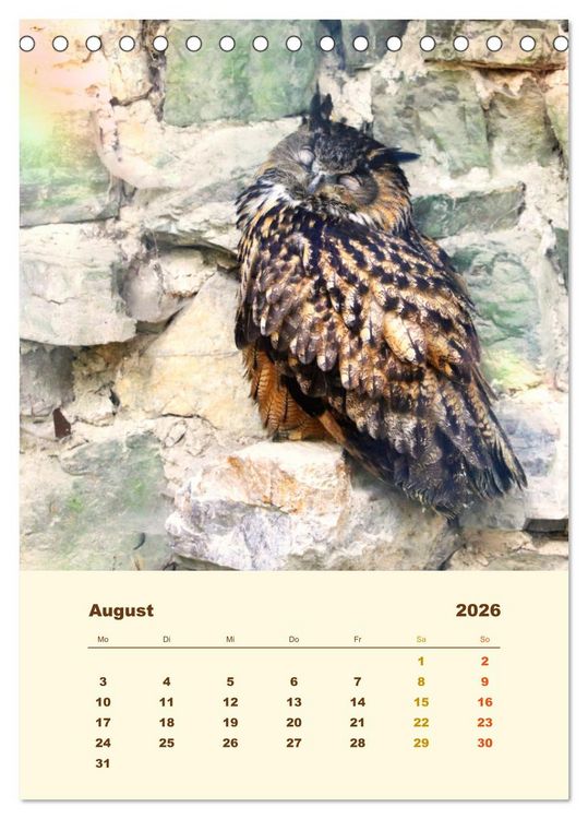 Produktbild: Uhu, die Faszination bernsteinfarbener Augen (Tischkalender 2026 DIN A5 hoch), CALVENDO Monatskalender