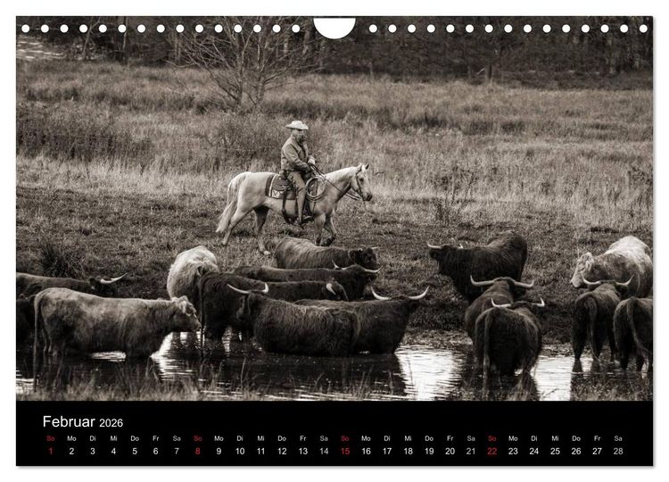 Produktbild: Westernreiten (Wandkalender 2026 DIN A4 quer), CALVENDO Monatskalender