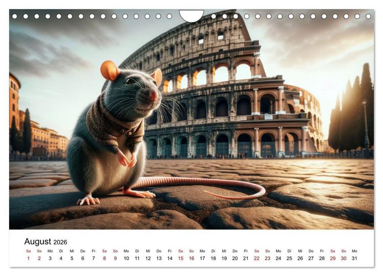 Produktbild: Ratten auf Reisen (Wandkalender 2026 DIN A4 quer), CALVENDO Monatskalender