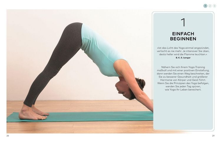 Produktbild: Die kleine Yoga-Schule