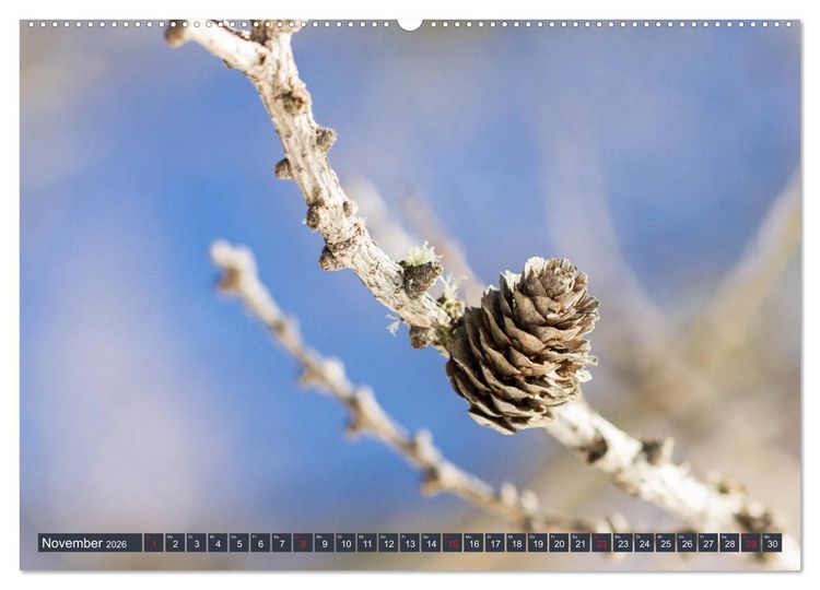 Produktbild: Die Natur hautnah (hochwertiger Premium Wandkalender 2026 DIN A2 quer), Kunstdruck in Hochglanz