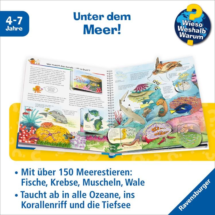 Produktbild: Wieso? Weshalb? Warum?, Band 27: Wir entdecken Meerestiere