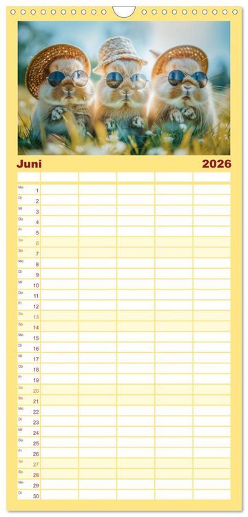 Produktbild: Familienplaner 2026 - Lustige Hasengeschichten mit 5 Spalten (Wandkalender, 21 x 45 cm) CALVENDO