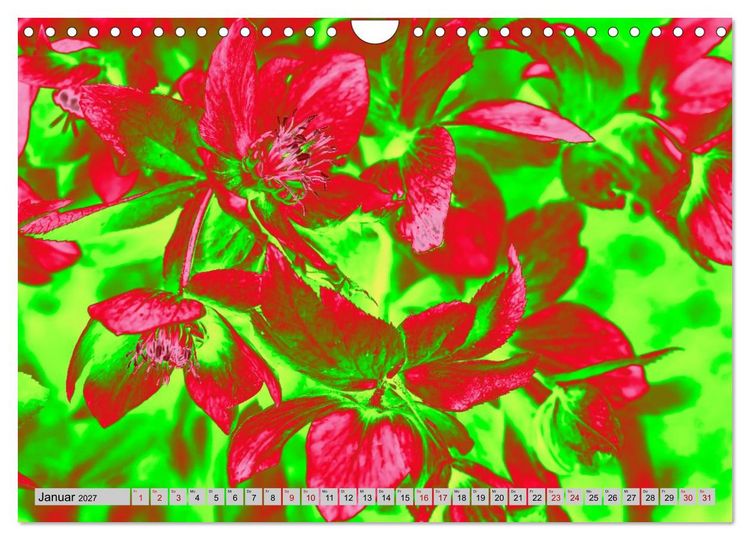 Produktbild: Blumen Pop-Art (Wandkalender 2027 DIN A4 quer), CALVENDO Monatskalender