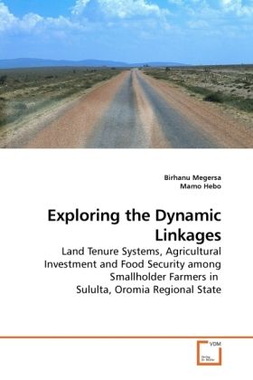 Produktbild: Megersa, B: Exploring the Dynamic Linkages