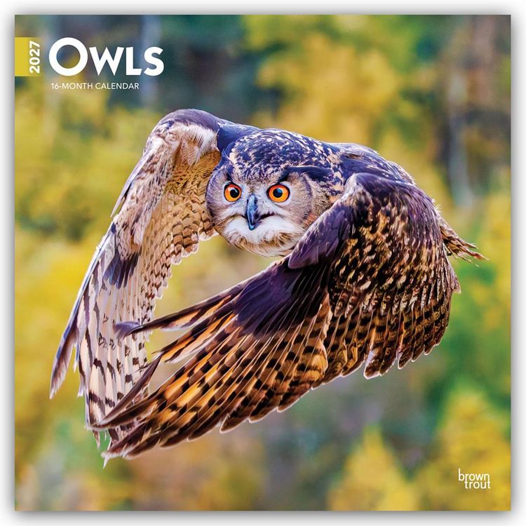 Produktbild: Owls &ndash; Eulen 2027 &ndash; 16-Monatskalender