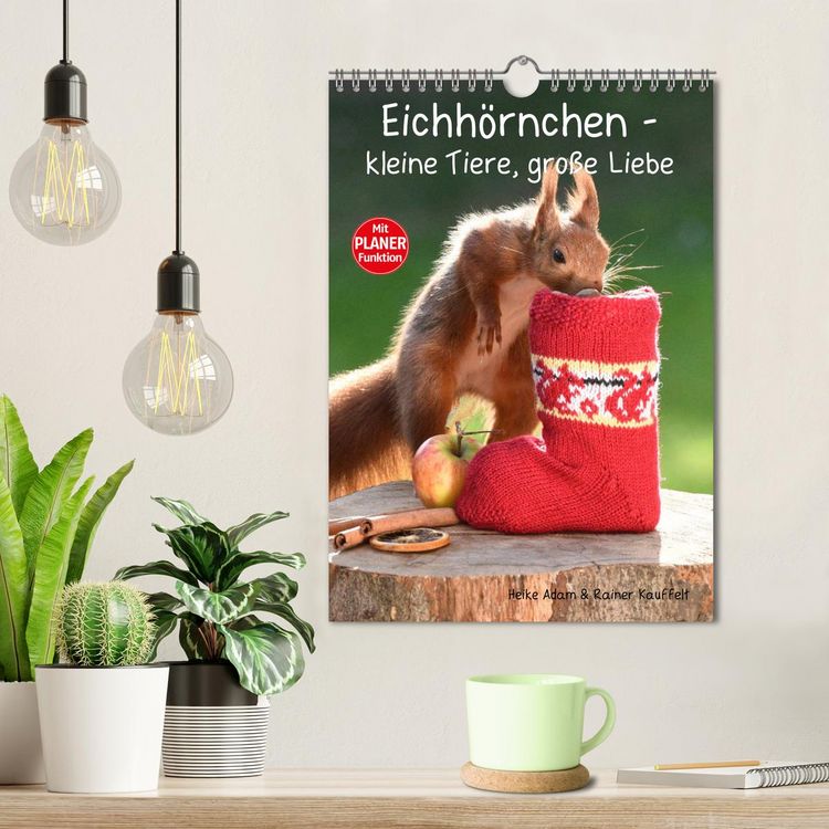 Produktbild: Eichh&ouml;rnchen - kleine Tiere, gro&szlig;e Liebe (Wandkalender 2026 DIN A4 hoch), CALVENDO Monatskalender